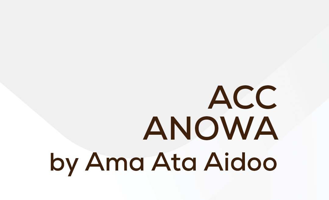AMA ATA AIDOO